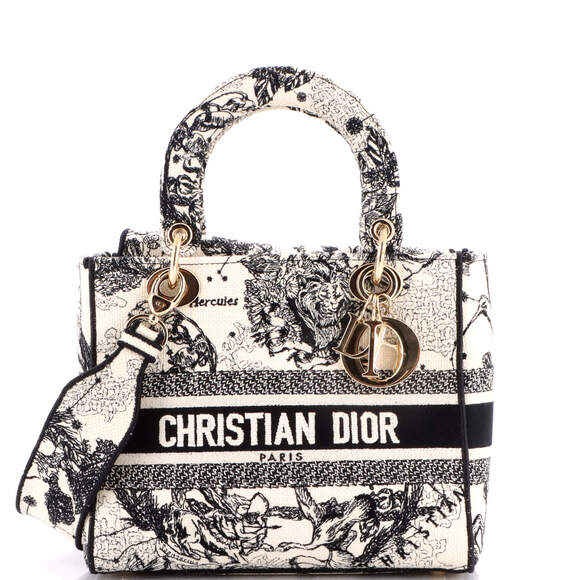 Christian Dior Handbags - Christian Dior Medium Lady D-Lite Bag Embroidered Canvas